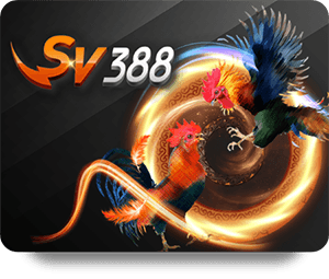 M88 เข้าสู่ระบบ และวิธีการเข้าใช้งานที่ดีที่สุด